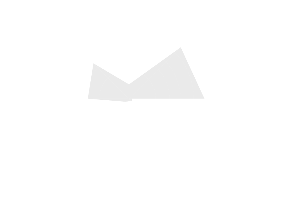 Fincantieri | Gruppo - Sostenibilità - Persone e comunità - Le nostre persone: Grafico radar con dati occupazionali suddivisi in categorie come full-time, part-time e ruoli manageriali, valori numerici ‘22.279’ e ‘1.881’ evidenti; palette monocromatica con testo bianco su sfondo scuro, focus su chiarezza statistica.