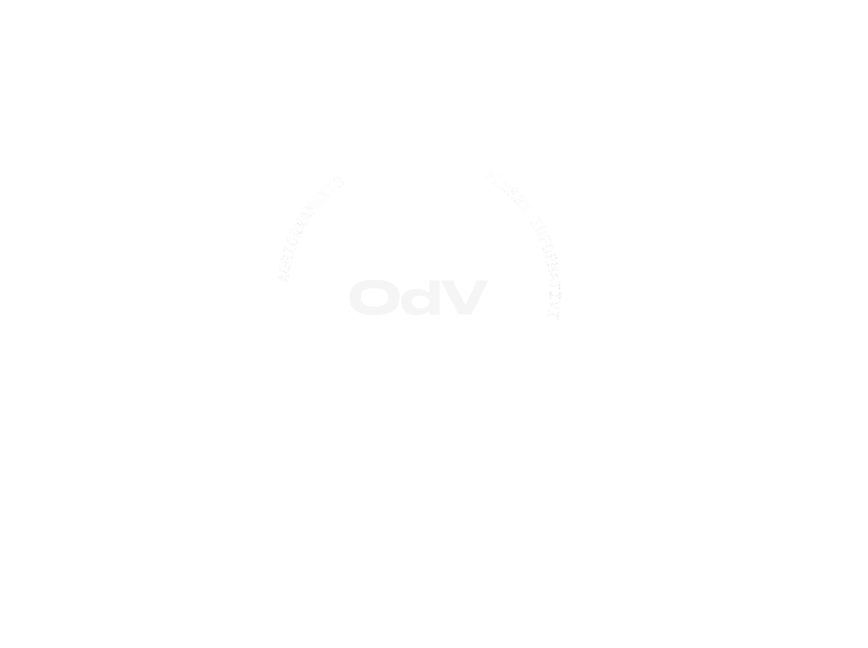 Fincantieri | Gruppo - Governance ed Etica - Etica del Gruppo - Modello231: Diagramma circolare OdV con livelli concentrici, testi italiani come ‘Formazione e Informazione’ e ‘Codice di Comportamento’, acronimo ‘OdV’ al centro, elementi principali del framework di compliance. Immagine monocromatica, layout professionale e pulito.