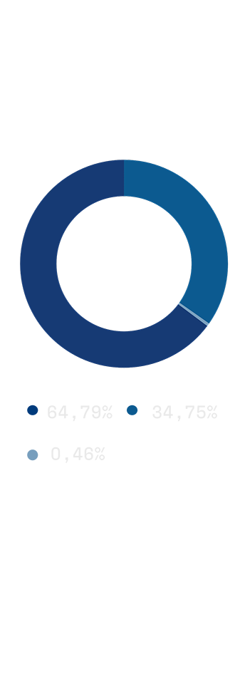Fincantieri | Investor Relations - Composizione Azionariato: Grafico a ciambella blu con segmenti che mostrano la distribuzione delle quote di mercato: 70,96% CDP Equity S.p.A., 28,88% mercato indistinto, 0,15% Fincantieri S.p.A. (azioni proprie), differenziato da diverse tonalità di blu.