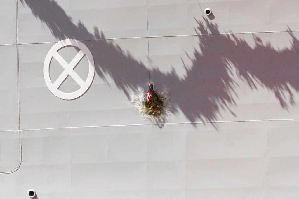Newsroom - Press releases - 2026 - Fincantieri Group: launch of the first next-generation offshore patrol vessel for the Italian Navy: champagne bottle breaks on vessel hull during launching ceremony, detail with navy symbol.