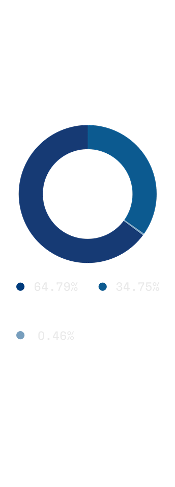 Fincantieri | Investor Relations - Fincantieri on the Stock Market - Shareholder Structure: A blue donut chart visually represents market share distribution among three segments: 70.67% "CDP EQUITY S.p.A.", 29.17% "Undifferentiated Market", and 0.15% "FINCANTIERI S.p.A. (Treasury Shares)". The chart uses varying shades of blue and clear numeric values, with a plain background emphasizing the data visualization.
