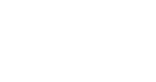 logo cleanship