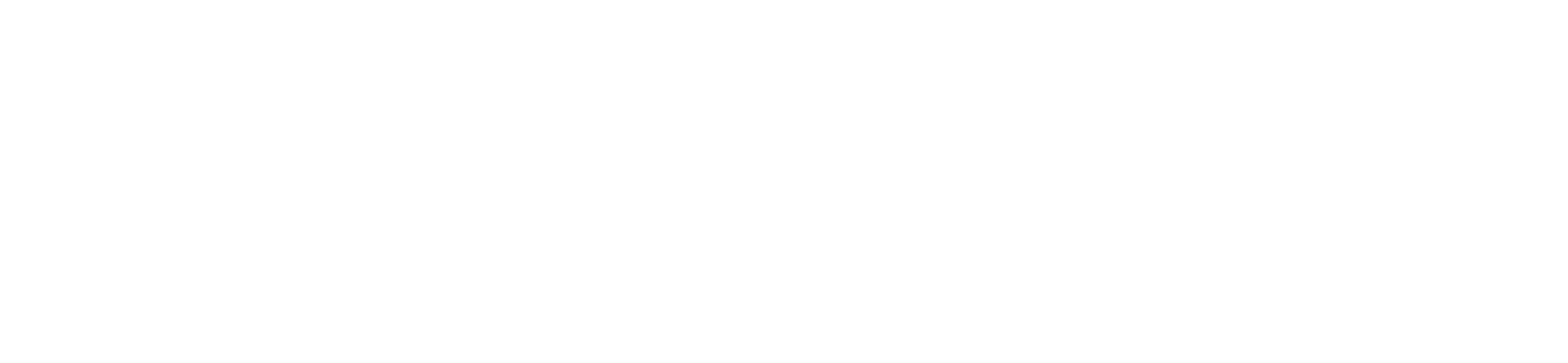  Fincantieri | Group - Subsidiaries and Affiliates - Seaenergy: White Seaenergy logo on transparent background, essential design with stylized text and graphic elements.