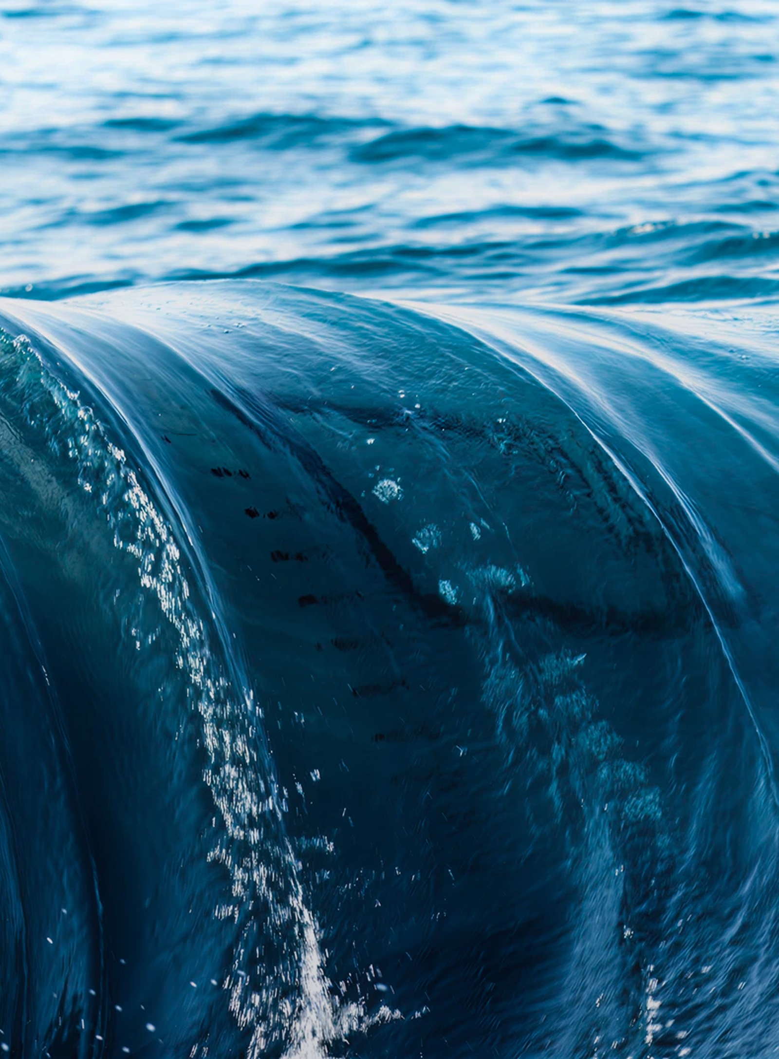  Fincantieri | Group - Business - Products - Maritime/Hydraulic Works - Ocean wave: Detailed view of rolling ocean wave captured mid-motion; deep blue water with sunlight reflecting off surface, dynamic texture suggesting a calm yet powerful marine environment.