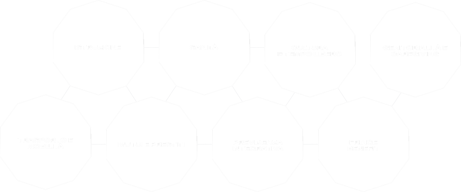 Fincantieri | Persone - Benessere Organizzativo: Infografica monocromatica con esagoni collegati, testi come “Istruzione”, “Sanità”, “Cultura etnico linguistica”, design minimalista bianco su sfondo trasparente.