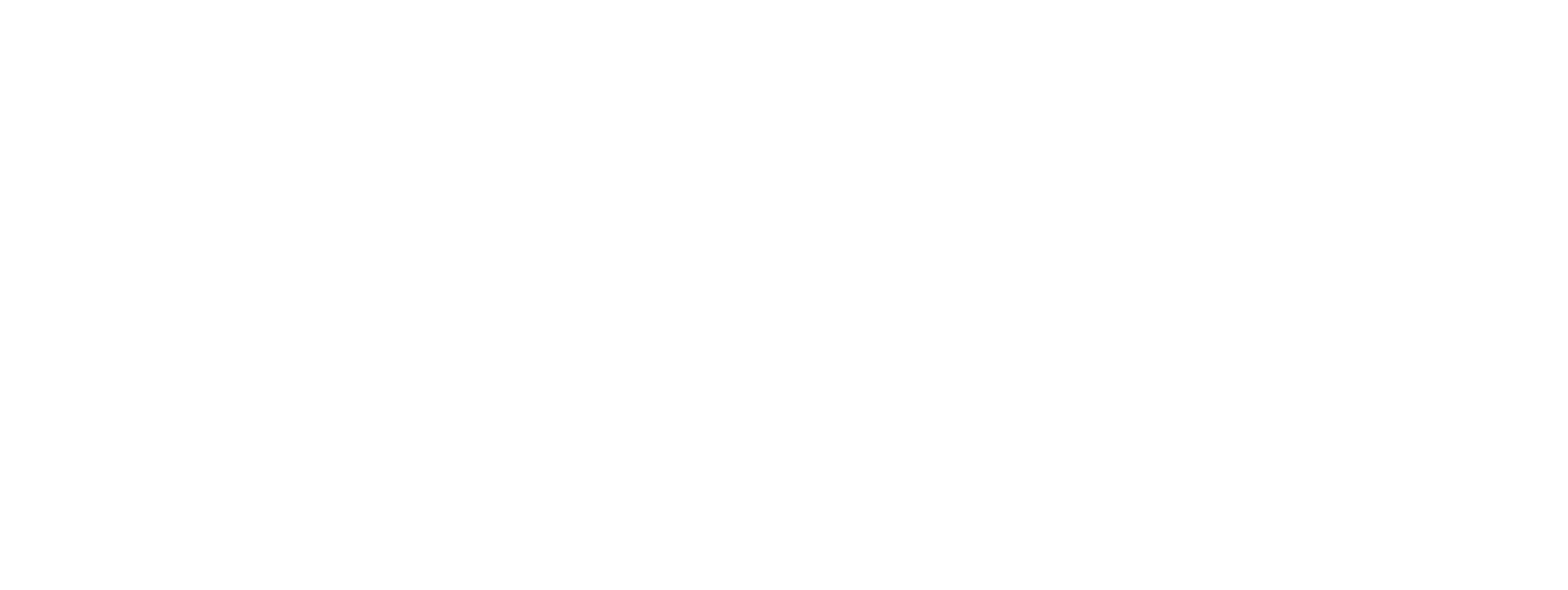 Fincantieri | Group - Companies - Subsidiaries and Affiliates - WASS Submarine Systems: WASS Submarine Systems logo in white on a transparent background, essential design with stylized text and graphic elements.