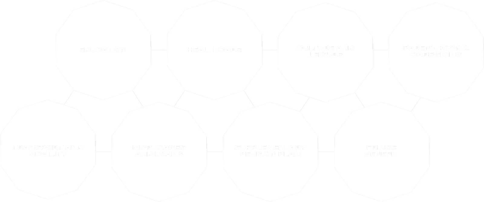 Fincantieri | People - Organizational Well-being: Monochromatic infographic with connected hexagons, texts such as “Education,” “Healthcare,” “Ethnolinguistic Culture,” minimalist white design on a transparent background.